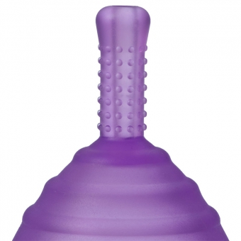 Ruby Cup Purple | Medium